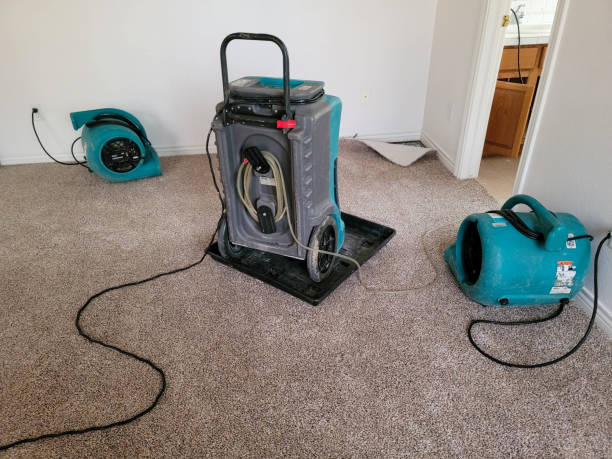 Best Fire Damage Restoration  in Dawson Springs, KY