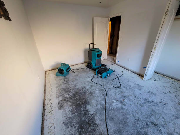 Best Basement water damage restoration  in Dawson Springs, KY