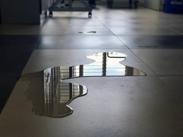 Best 24-hour water damage restoration  in Dawson Springs, KY