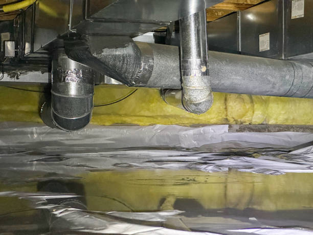 Best Water damage cleanup near me  in Dawson Springs, KY