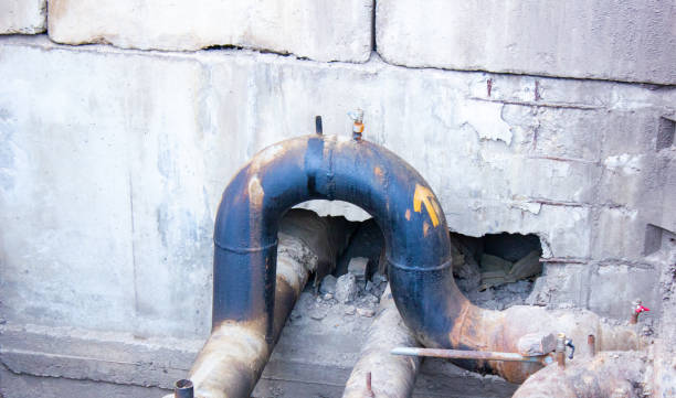 Best Mold removal after water damage  in Dawson Springs, KY