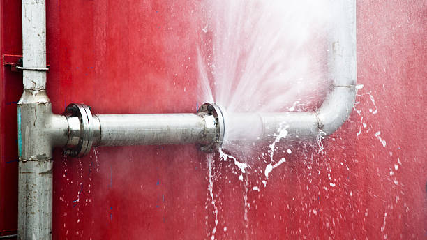 Best Sewage cleanup and water damage restoration  in Dawson Springs, KY